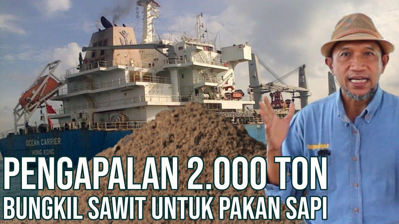 
                                 Kapal-Distribusi-Bungkil-Sawit-Pakan-Ternak-Sapi-Kambing-Unggas